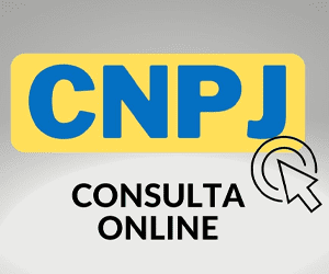 Consulta CNPJ